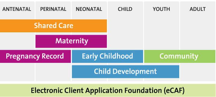 eKids Suite